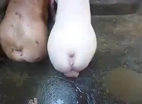 Мужик с добротным членом трахает пару свиней