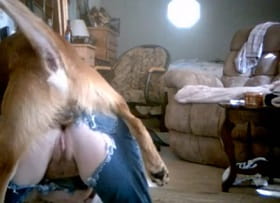 Муж совместно с собакой ебут жену в любительском порно с животными