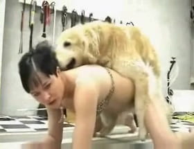 Лохматая собака бодро ебет двух японских женщин в мокрые пизды